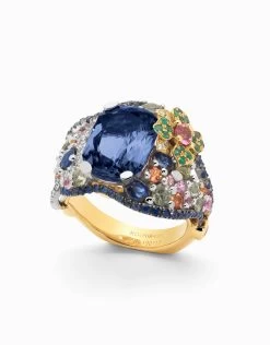 Anell Stellar 路 Safir