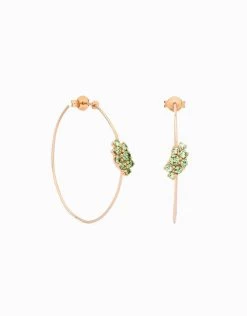 Arracades D'Aro Bunch 路 Nature