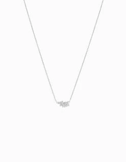 Penjoll Bunch · Winter