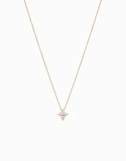 Penjoll Lilium 路 Or Rosa